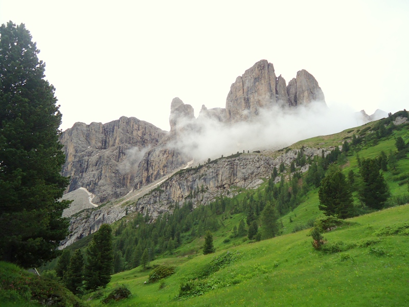 Nigritella, Dactylorhiza perverseemaltempo! Dolomiti luglio 2014.